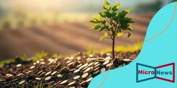 Sustainable investment options for 2025: what to know